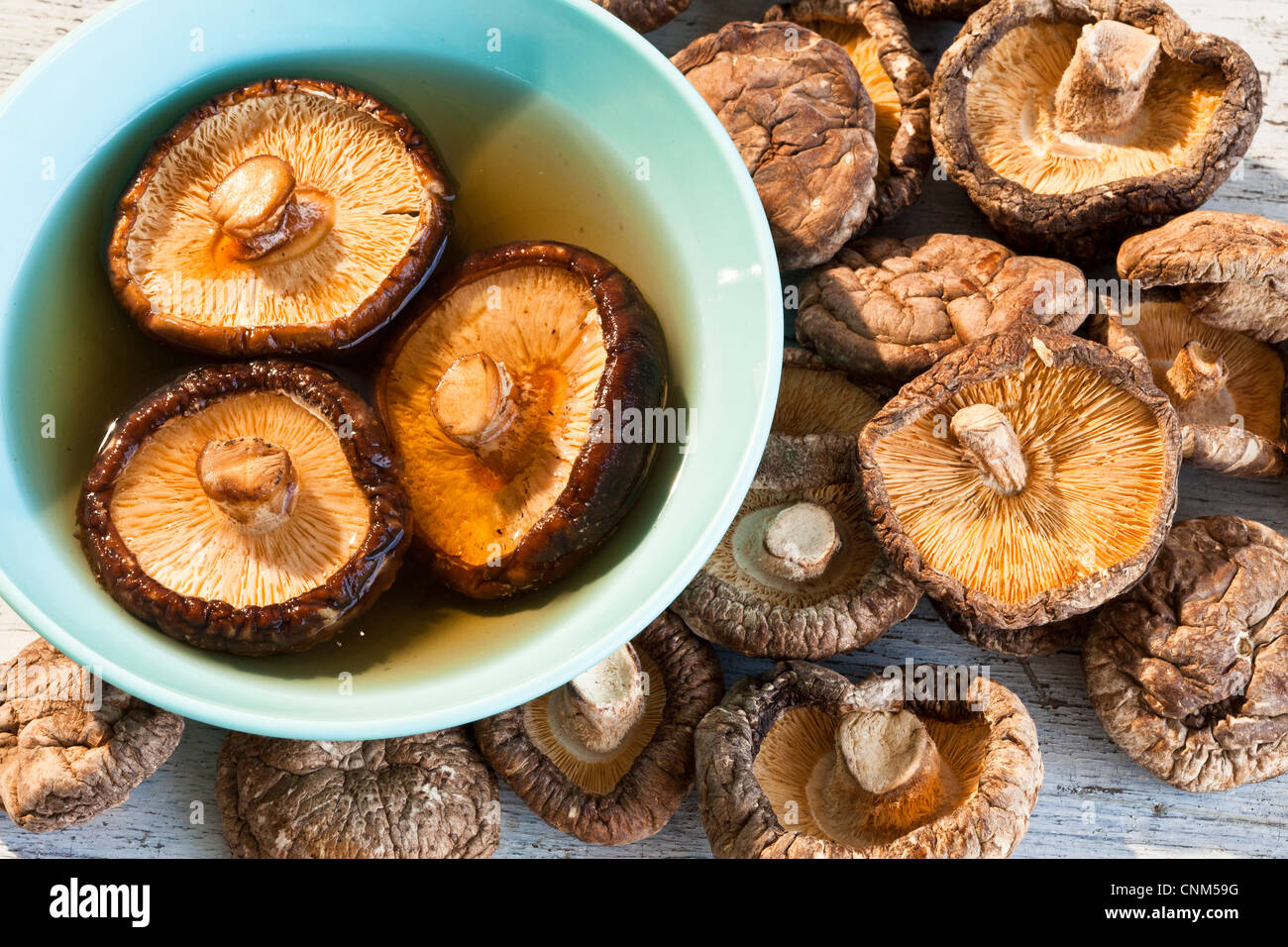 Dried Shiitake Mushrooms, medicinal and Culinary Stock Photo Alamy