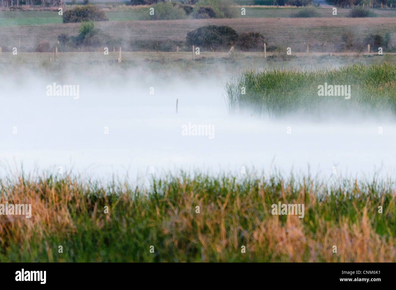 fog in the river Stock Photo - Alamy