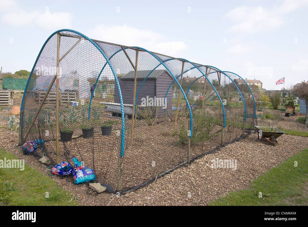 Allotment fruit cage. Grown your own summer fruit.  Home made structure using recycled materials for the frame. Stock Photo