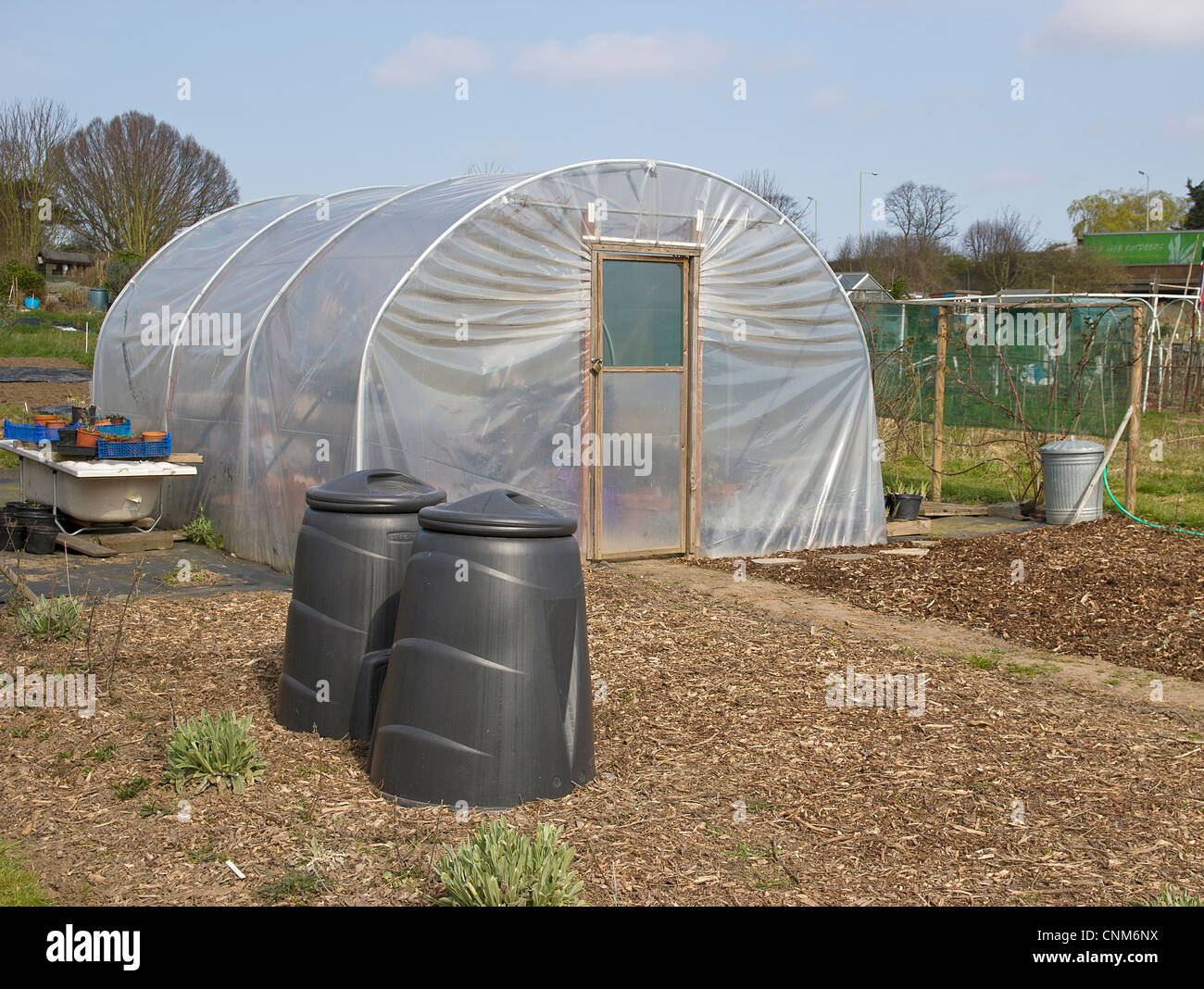 Allotment polytunnel and compost bins.Grown your own vegetables Stock ...