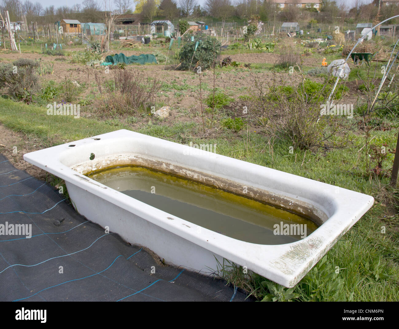 Water conservation during drought water shortage period. Old baths used for water storage at allotment. Stock Photo