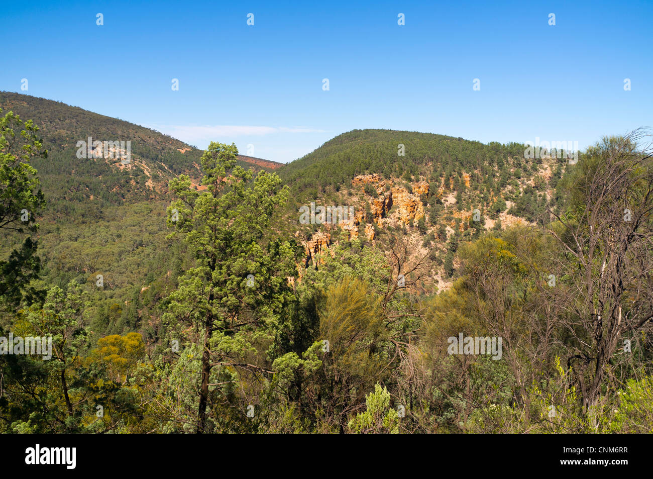 View of Hidden Gorge from Sugar Gum Lookout in Mount Remarkable National Park near Mambray Creek in the Southern Flinders Ranges in South Australia Stock Photo