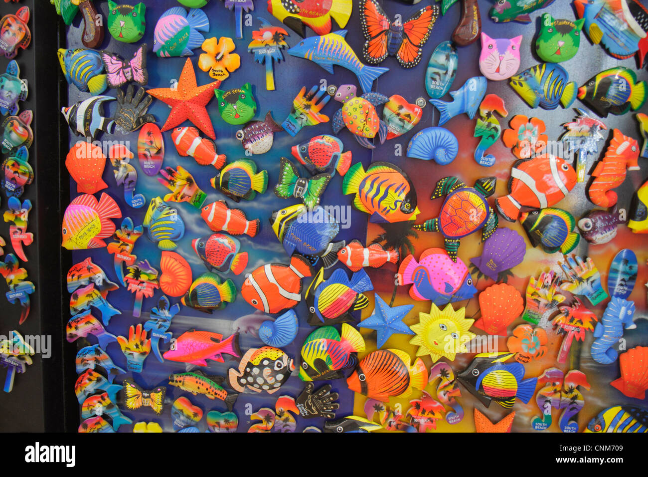 Miami Beach Florida,Walgreens Pharmacy,drugstore,display case sale