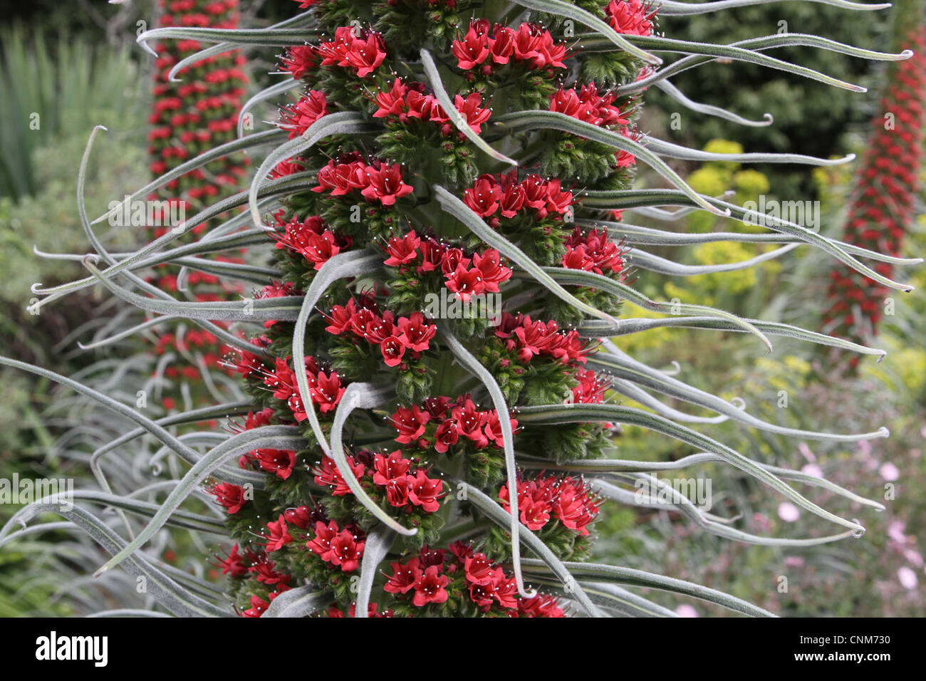 Tower of jewels hires stock photography and images Alamy