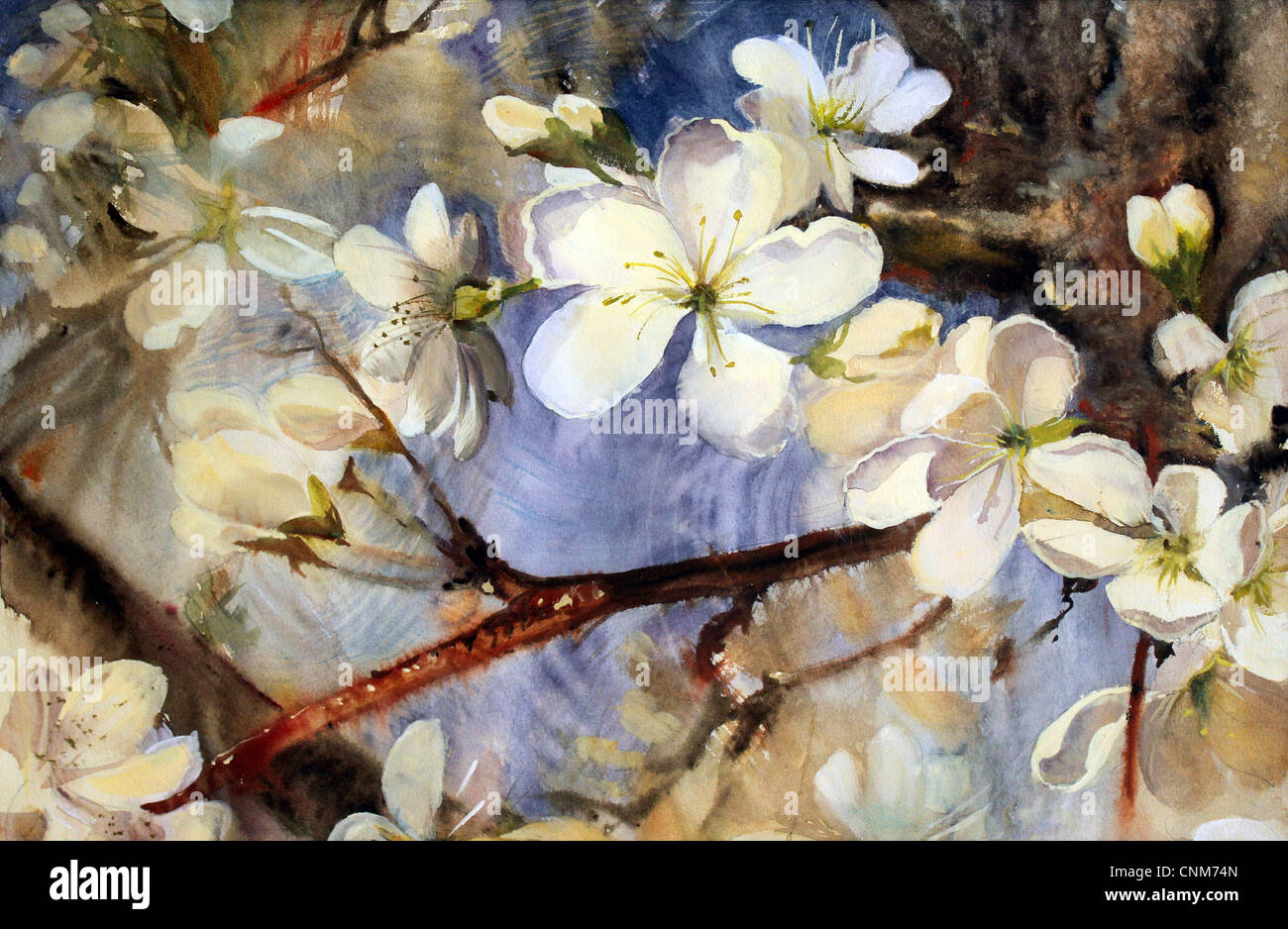 Watercolor painting of the blooming spring tree branches with white flowers Stock Photo