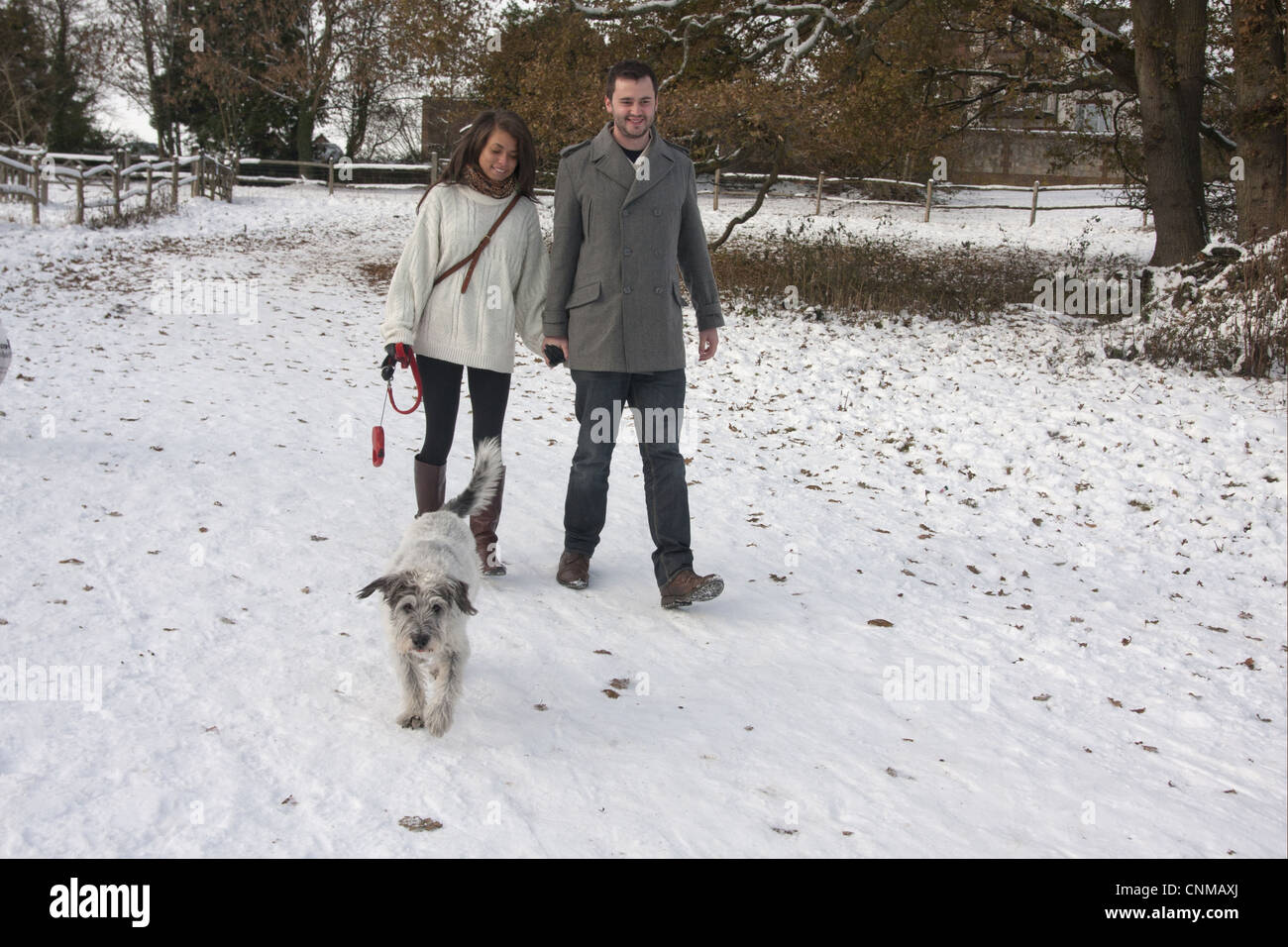 Domestic Dog Greek Mountain Dog elderly adult being walked on extendable lead by couple owners in snow Surrey England december Stock Photo