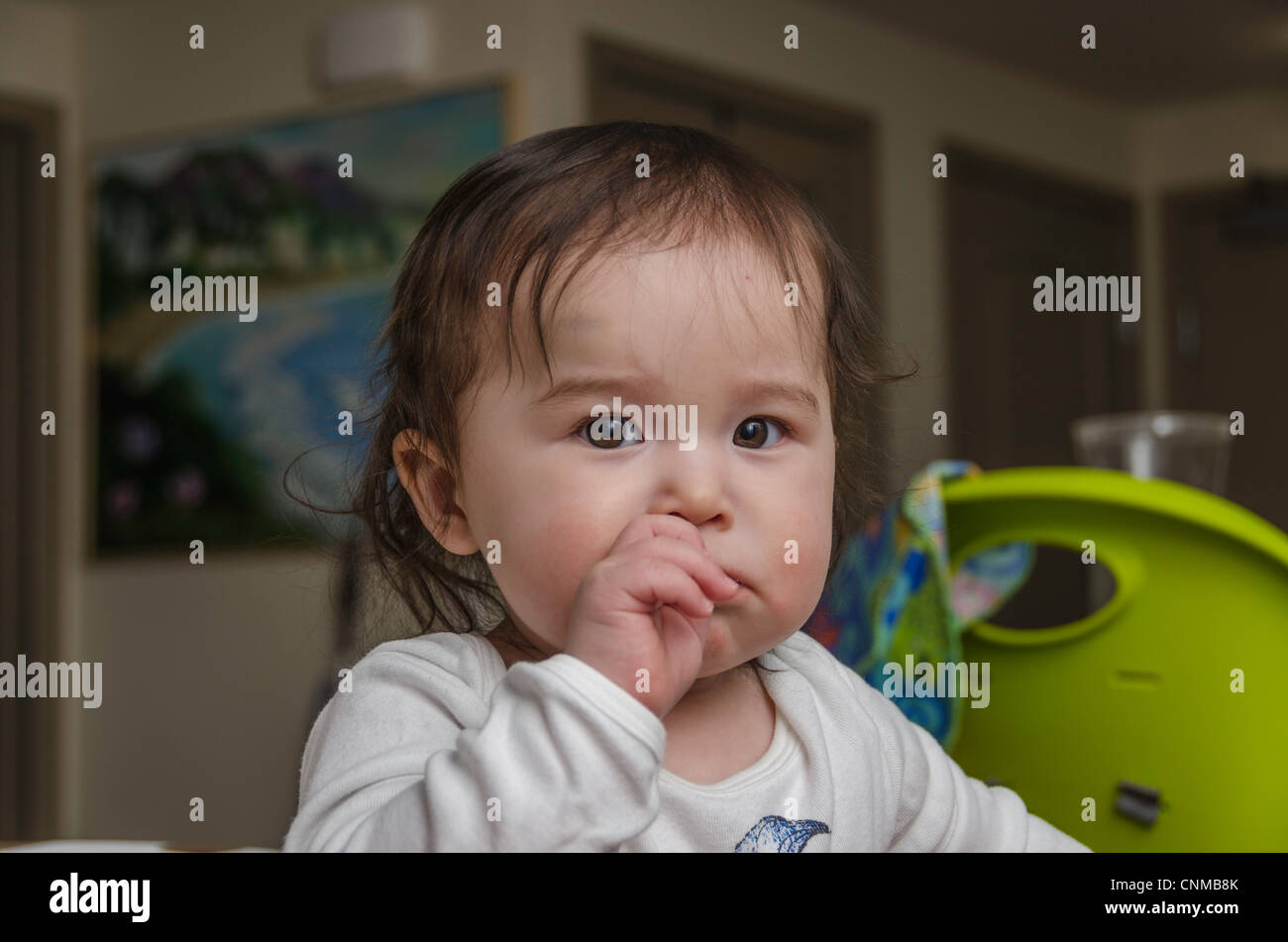 Mixed race Asian (Korean) Caucasian baby girl Stock Photo Alamy