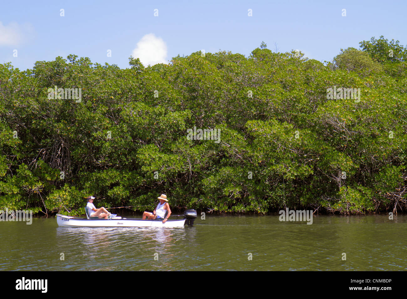 Florida Upper Key Largo Florida Keys,Blackwater Sound,Florida Bay,woman female women,outboard motorboat,mangrove,FL120331024 Stock Photo