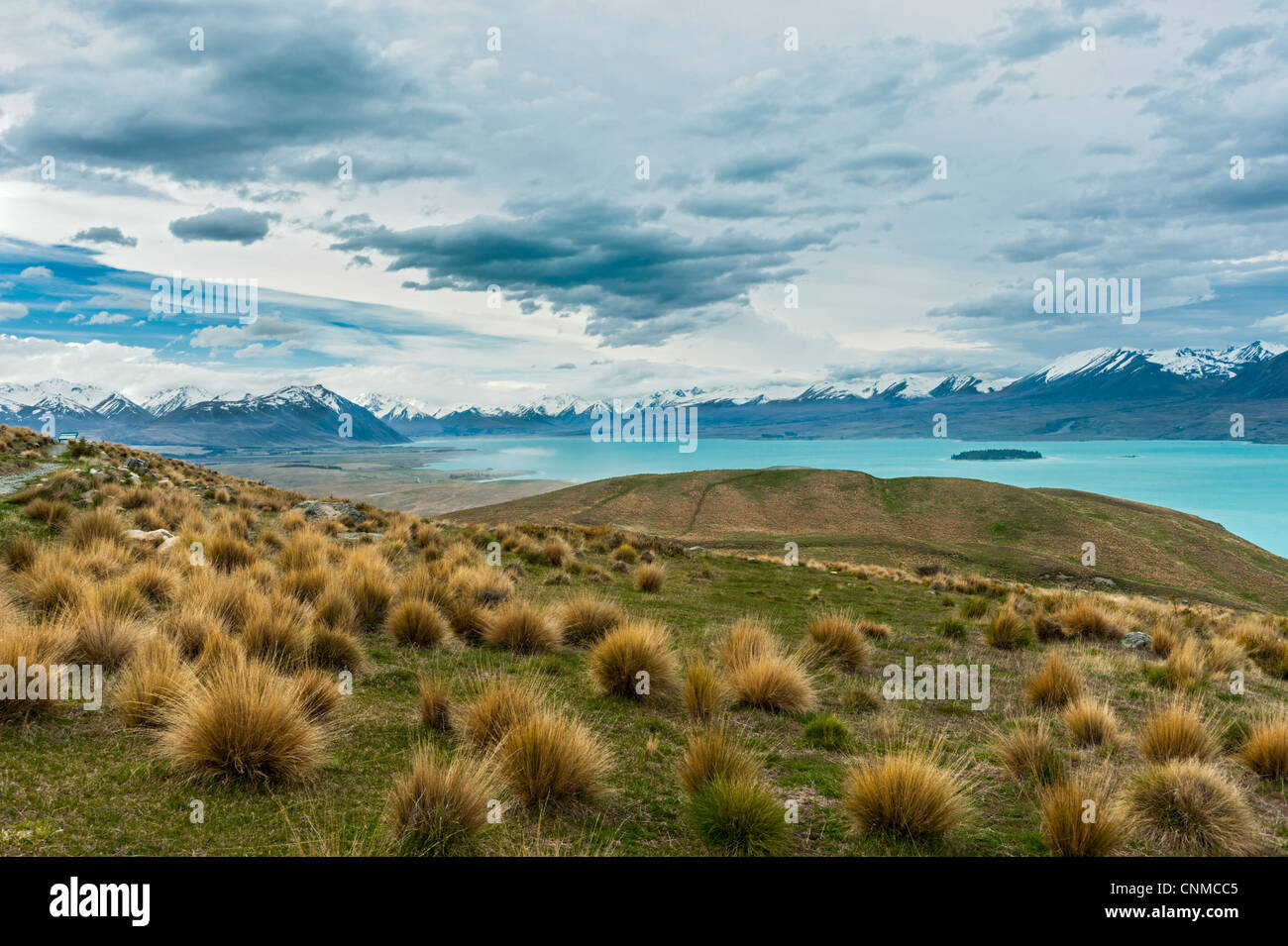 Lake Tekapo, the blue lake. New Zealand South Island Stock Photo - Alamy