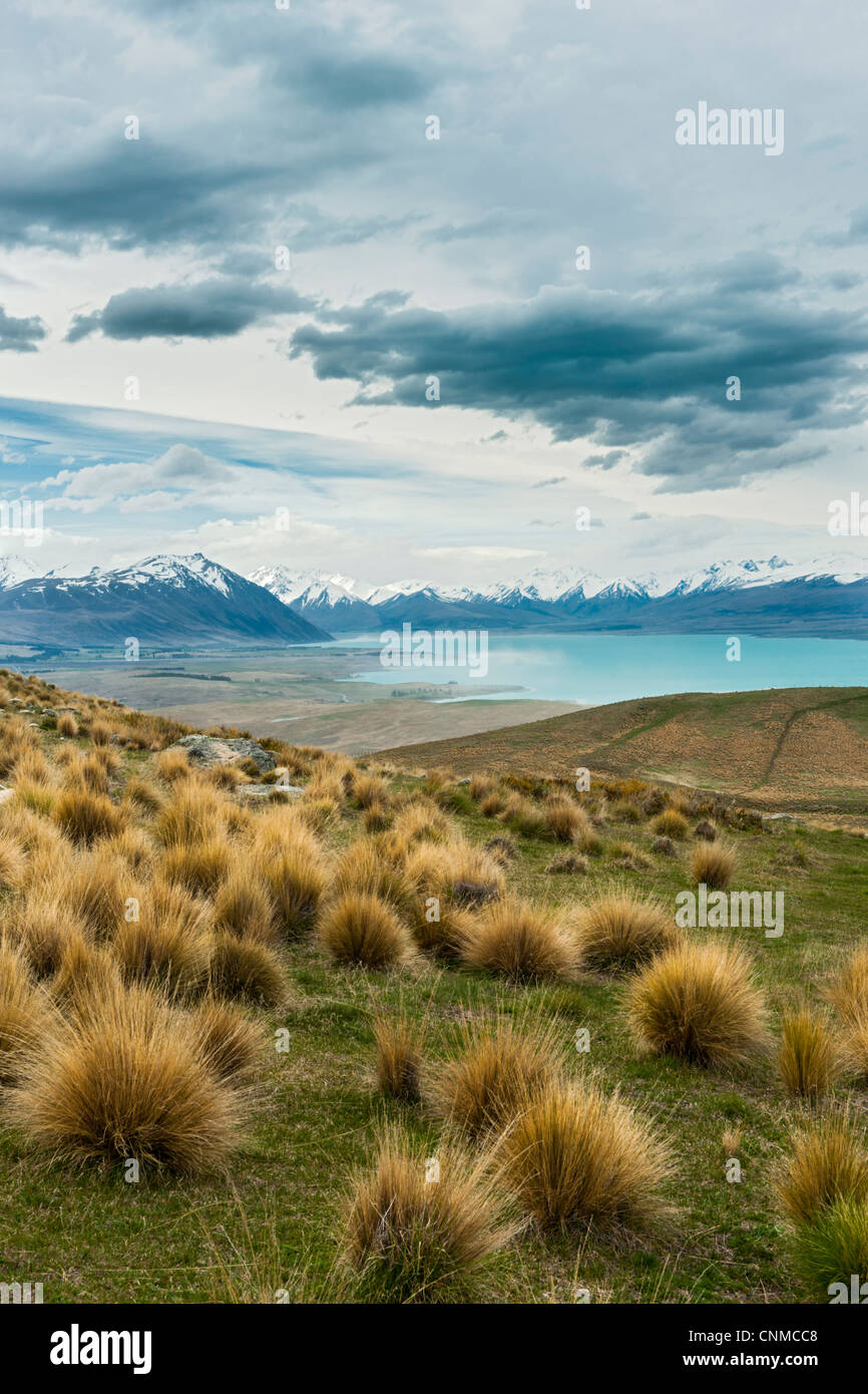 Lake Tekapo, the blue lake. New Zealnd South Island Stock Photo - Alamy