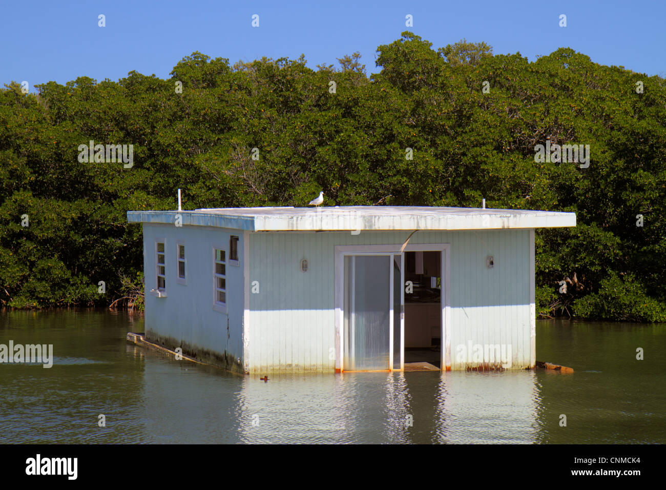 Florida Upper Key Largo Florida Keys,Blackwater Sound,Florida Bay water,houseboat,abandoned,sunken,mangrove,visitors travel traveling tour tourist tou Stock Photo