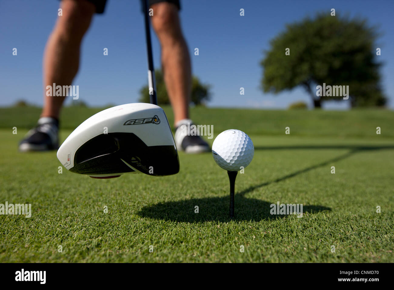 Golfer driving the ball Stock Photo Alamy