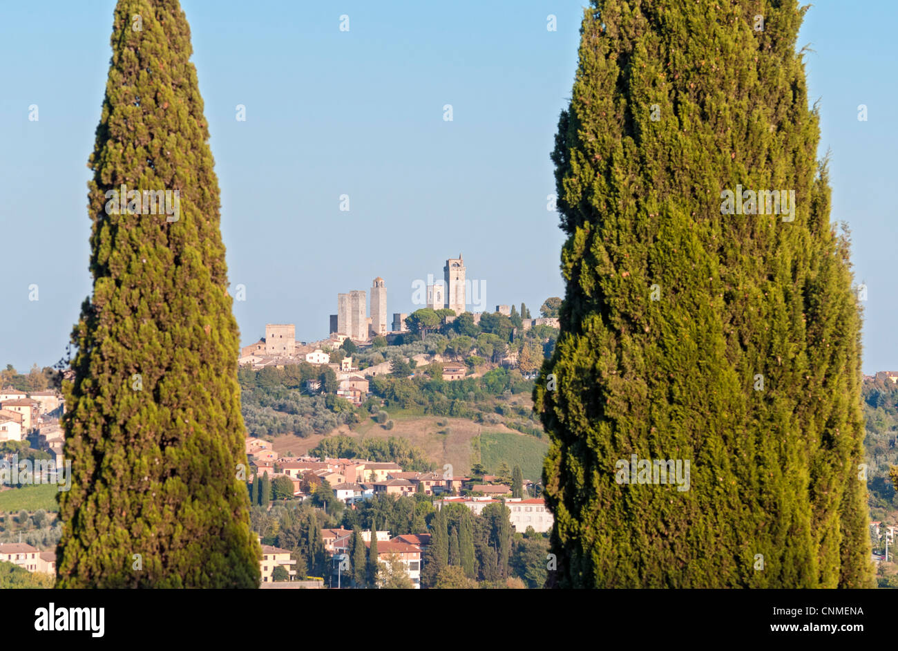 Medieval Hill Town of San Gimignano with Typical Cypress Trees, Tuscany (Toscana), Italy Stock Photo