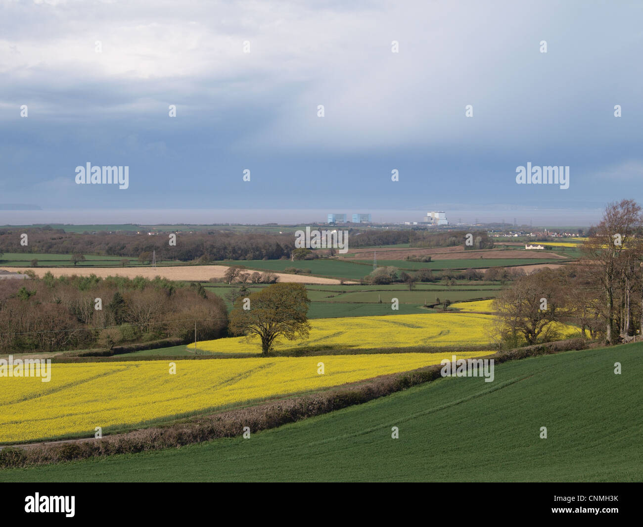 Hinkley  Point  Nuclear Power Station viewed across farmland. Somerset. UK Stock Photo