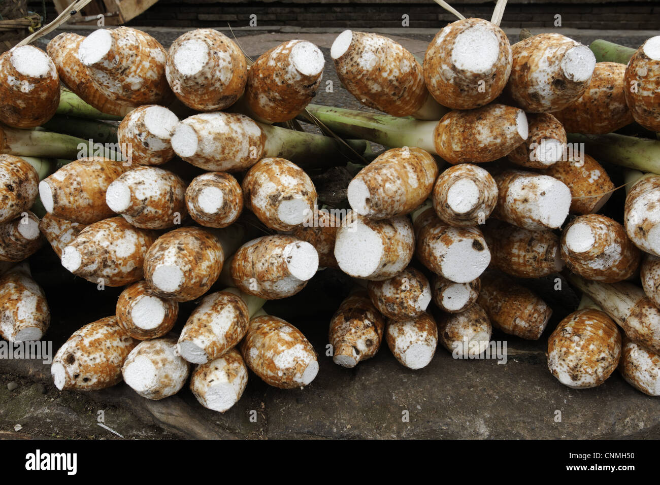 Keladi Tikus Typhonium Flagelliforme Harvested Root Crop For Sale At Market Indonesia March Stock Photo Alamy