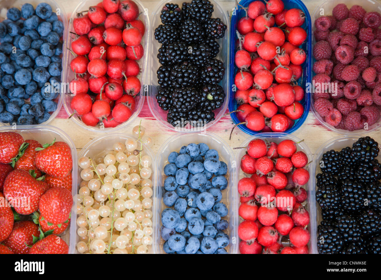 Punnets of fruit including blueberry, strawberry and blackberry Stock Photo
