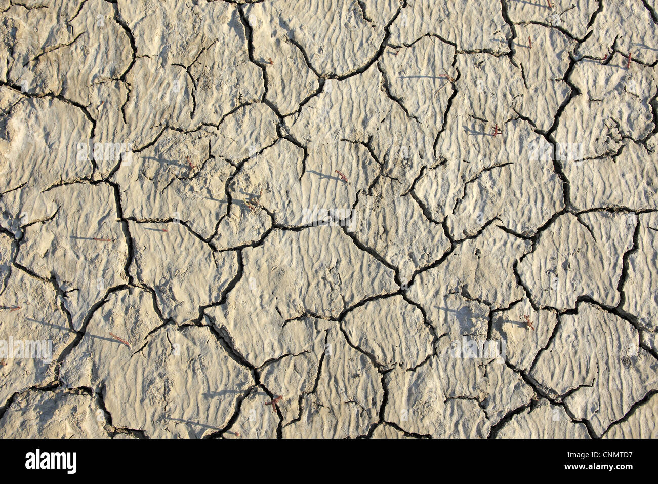 Soil cracks hi-res stock photography and images - Alamy