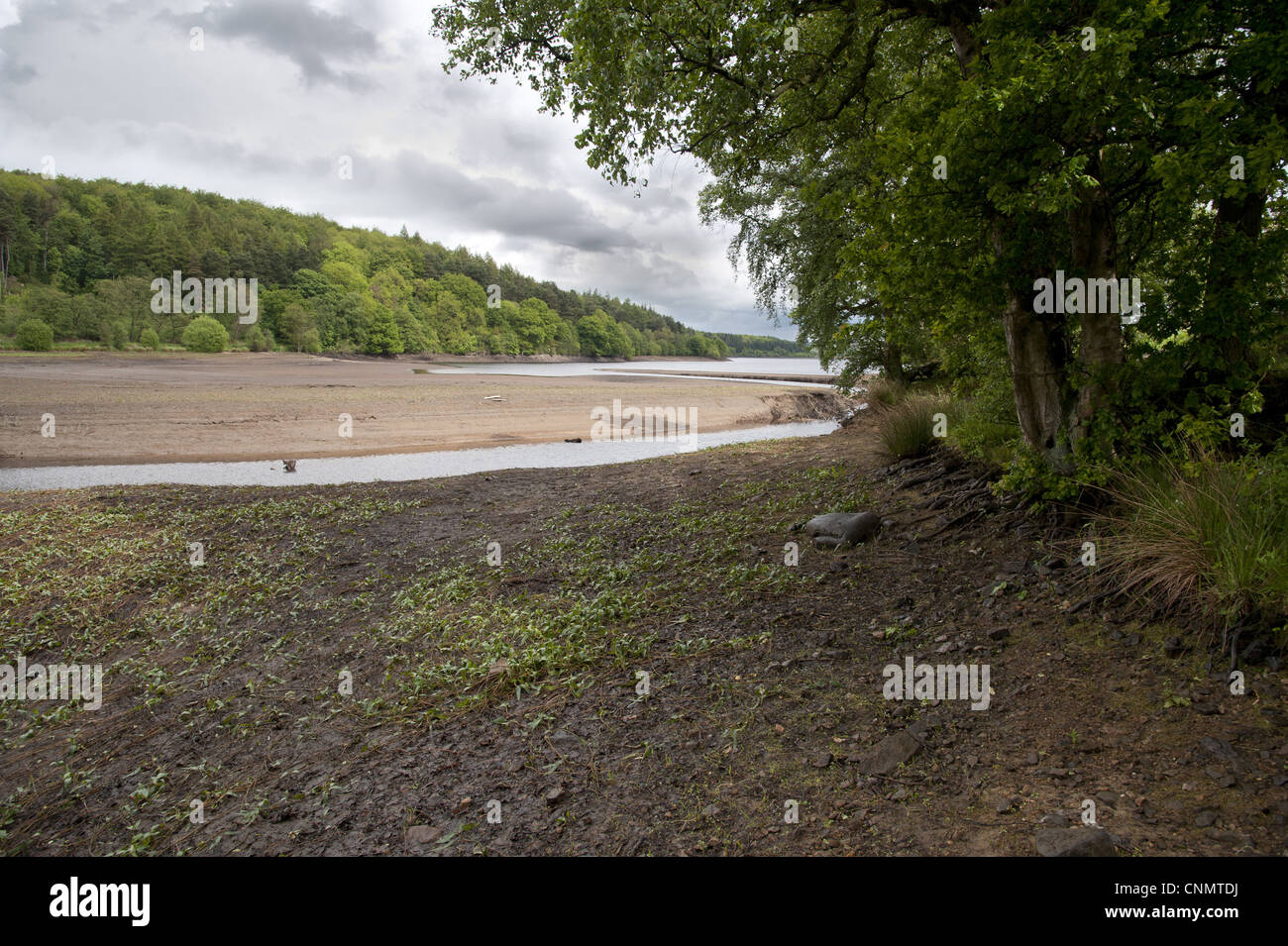 Low water level at reservoir, Fewston Reservoir, North Yorkshire, England, may Stock Photo