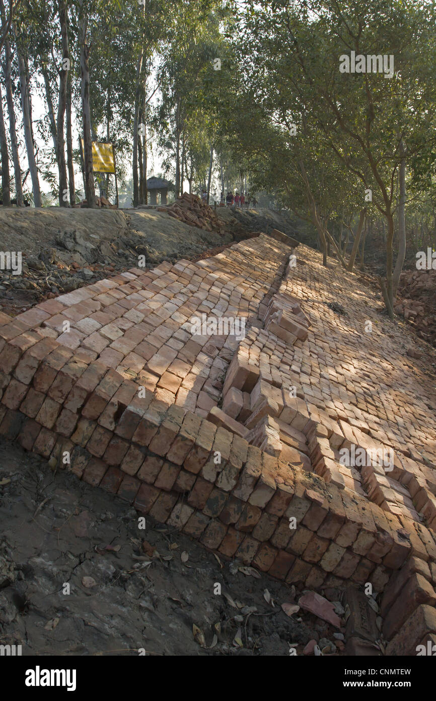 Bricks used for flood defence repairs, Sundarbans, Ganges Delta, West Bengal, India Stock Photo