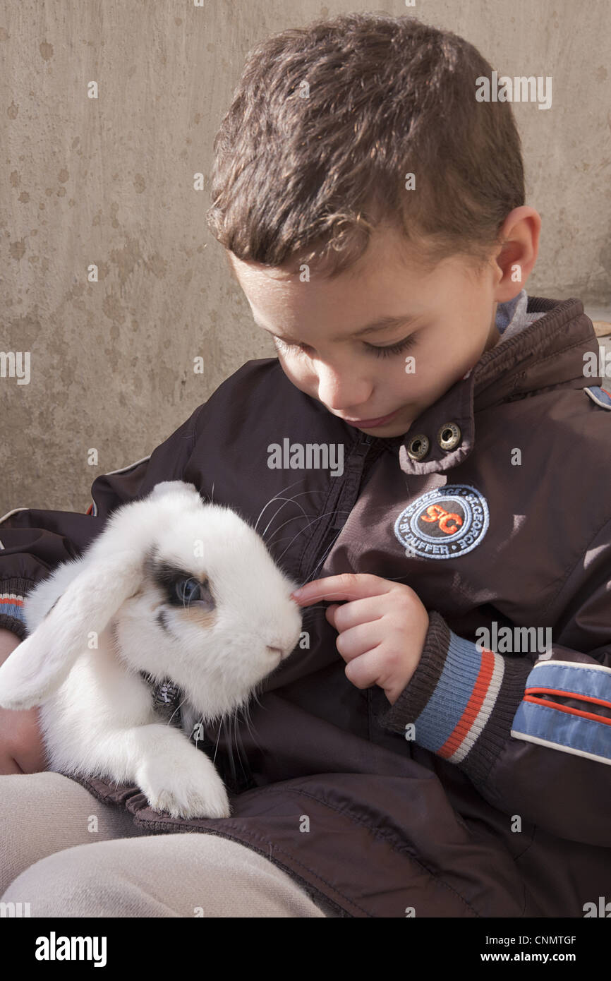 Domestic Rabbit, lopeared young, wearing harness, sitting with young