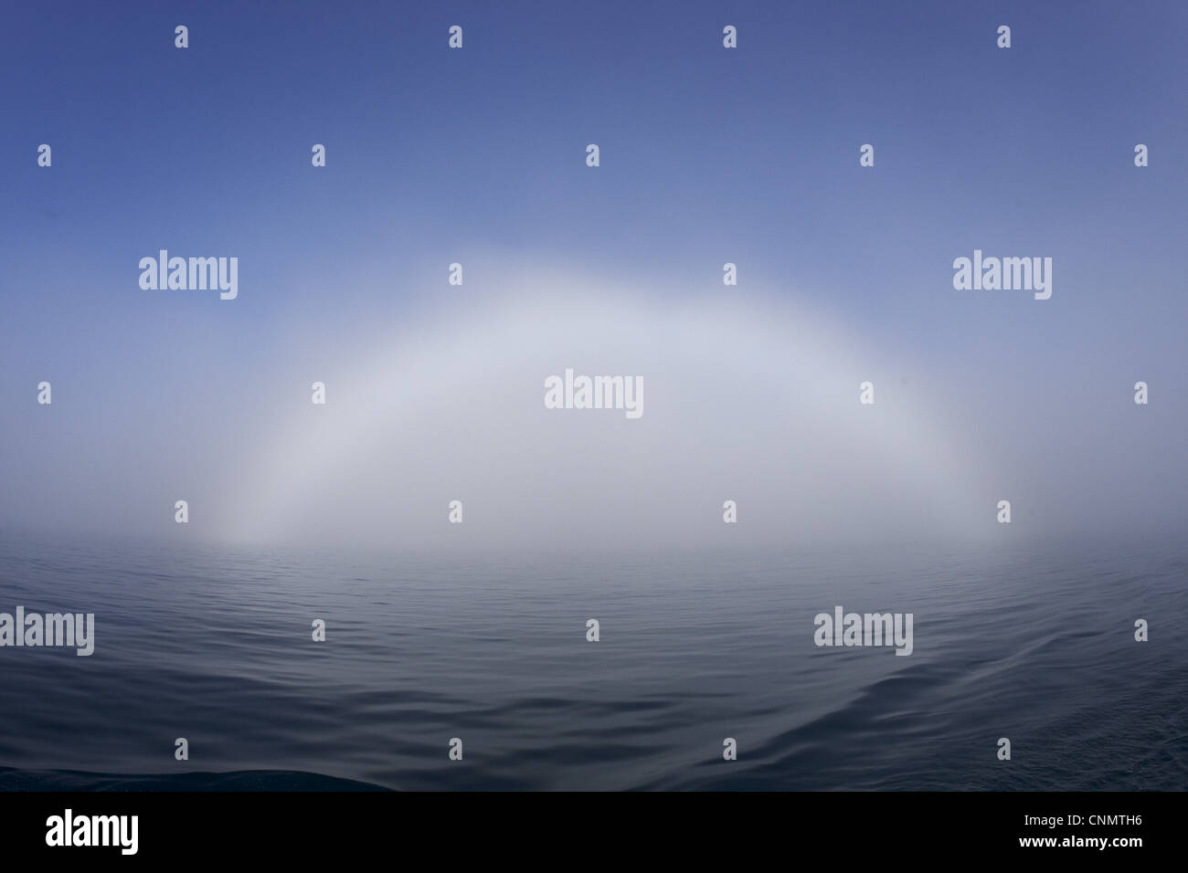 Fogbow over calm sea, Svalbard Stock Photo
