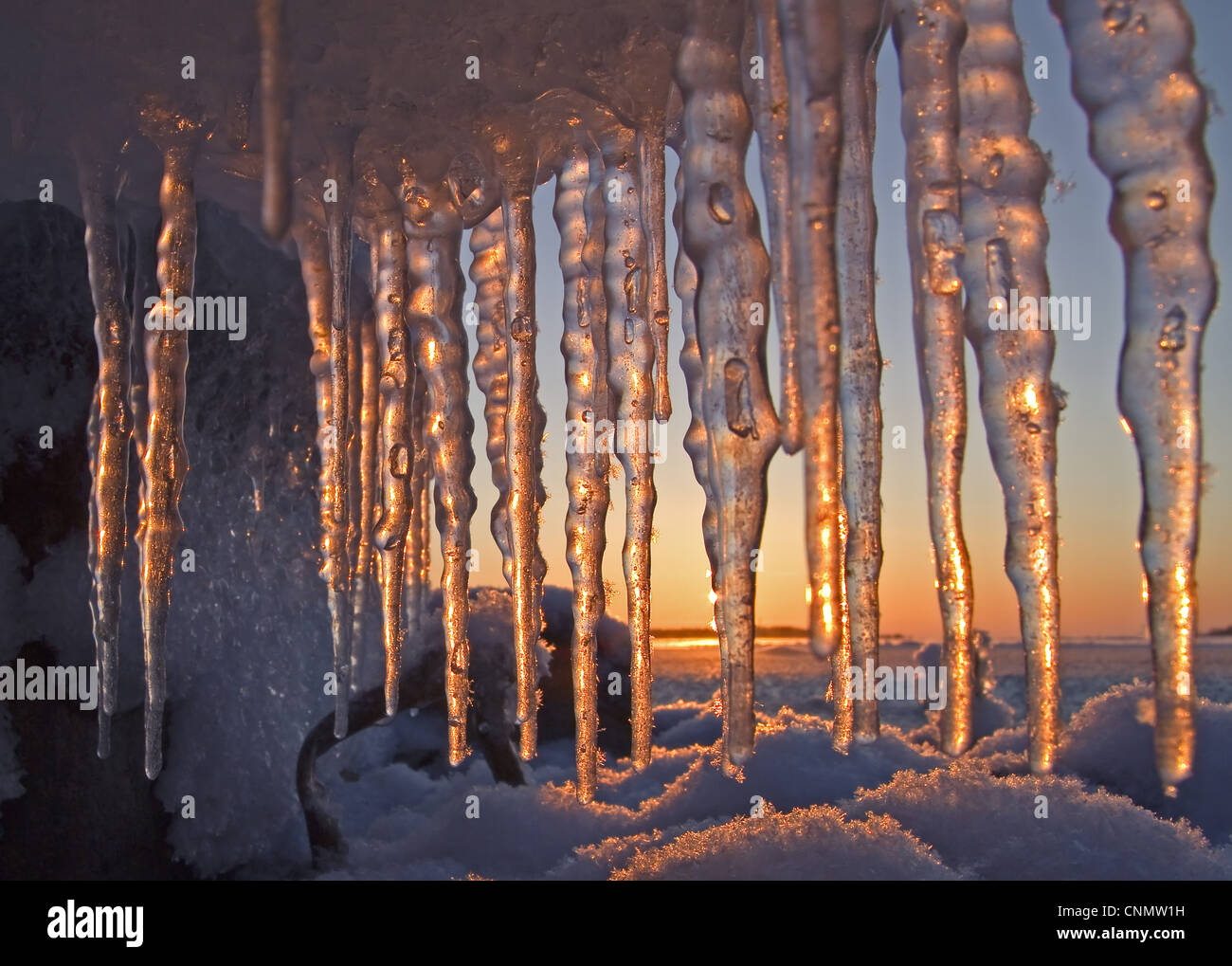 Icicles at sunset, Finland, november Stock Photo