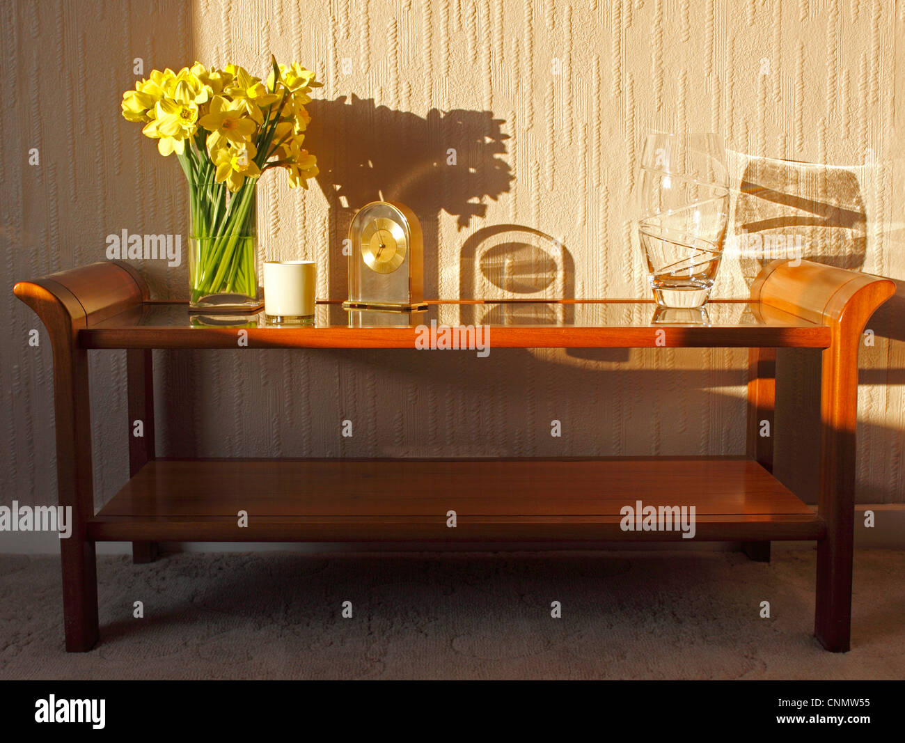 NARCISSUS AS STILL LIFE. DAFFODILS. Stock Photo