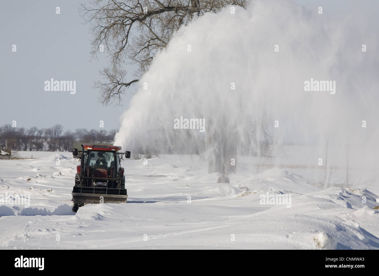 Tractor with snow blower, blowing snow from blocked rural road, North Dakota, U.S.A., february Stock Photo