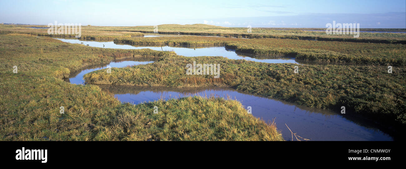 Estuaries-Salt Marsh Saltmarsh at Simpsons Saltings - Suffolk Wildlife Trust Stock Photo
