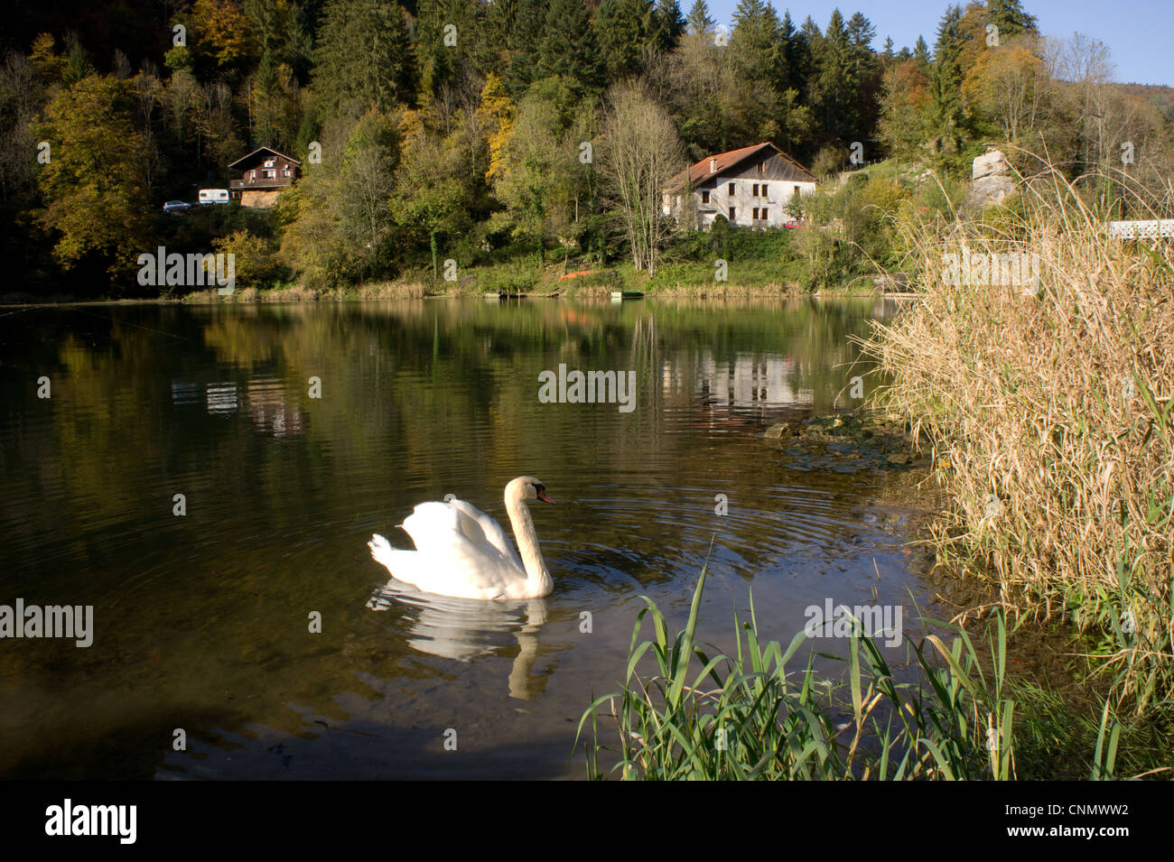 La Coudoule am Doubs, Jura, Schweiz Stock Photo