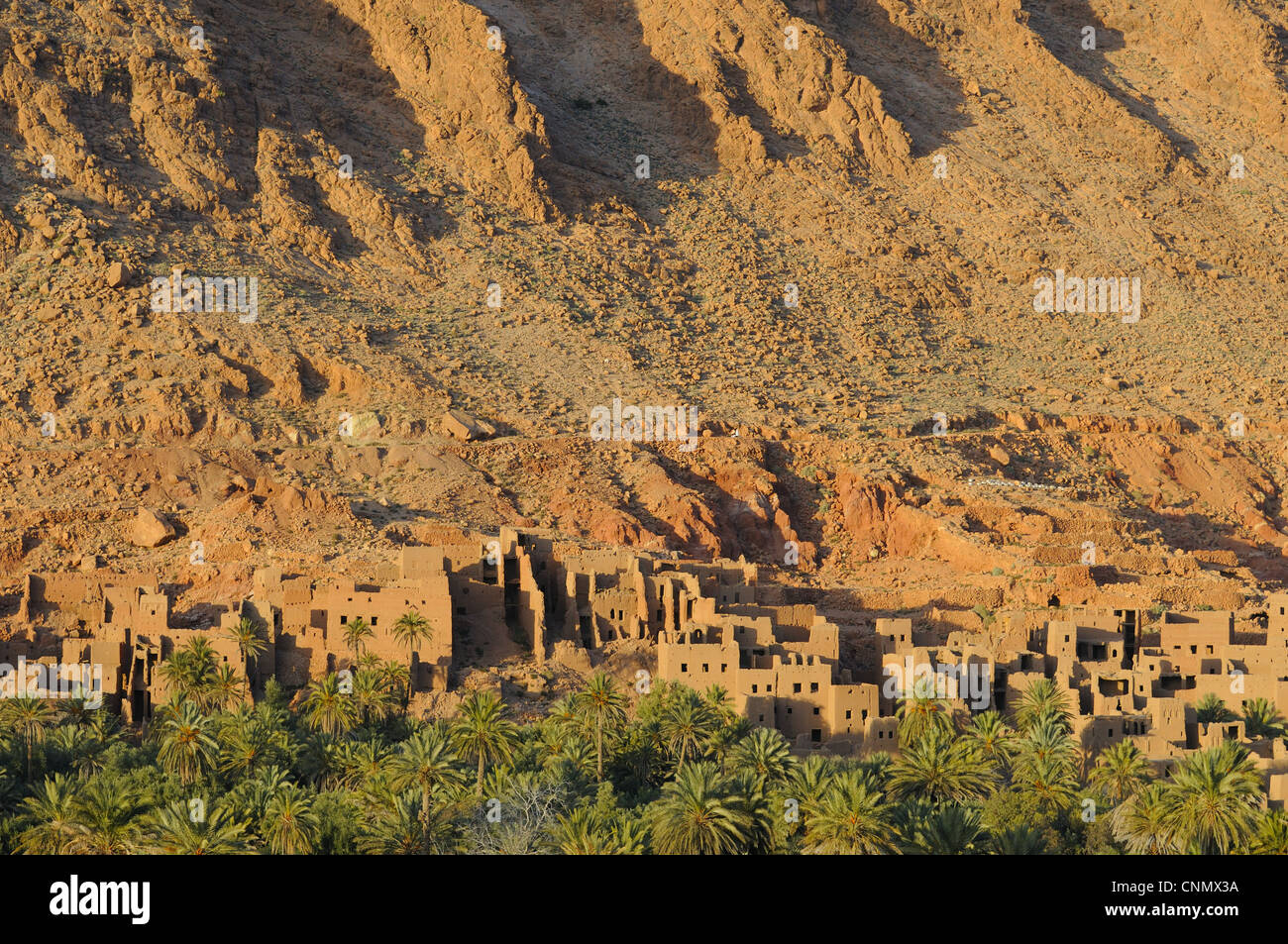 View of abandoned buildings in desert oasis, Tinerhir, Ouarzazate ...