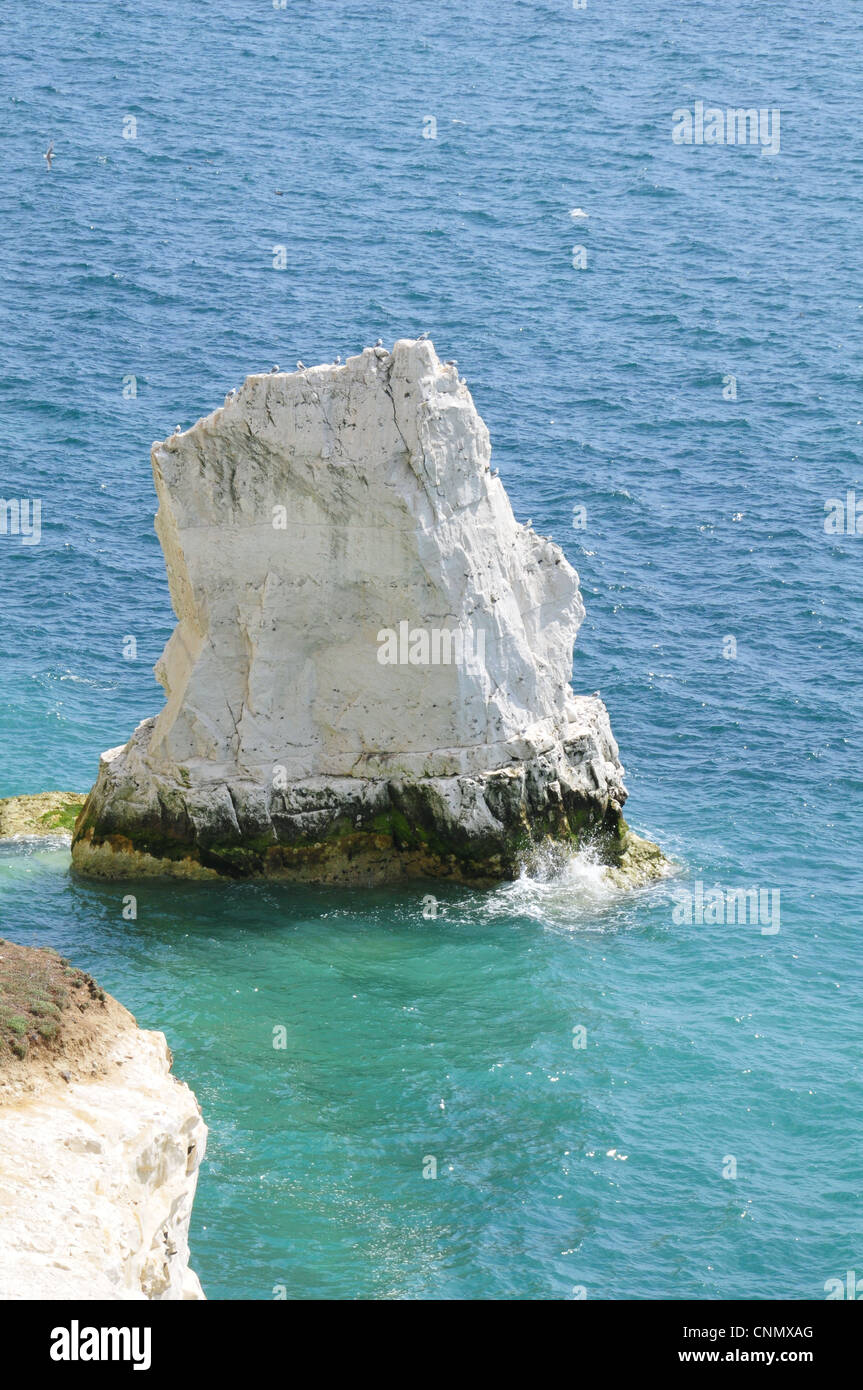 Seaford Head England Stock Photo Alamy