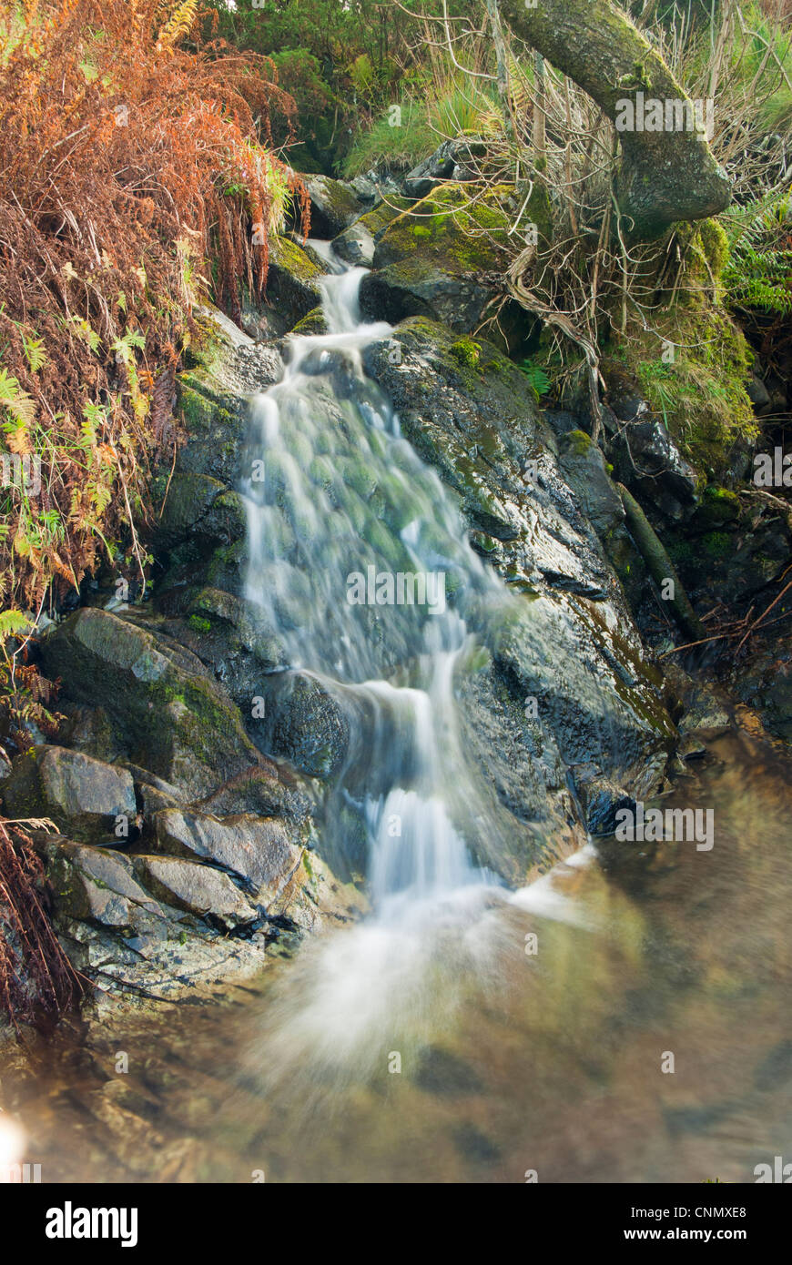 Portrait photo of a small stream on the side of Loughrigg fell in the Lake district Stock Photo