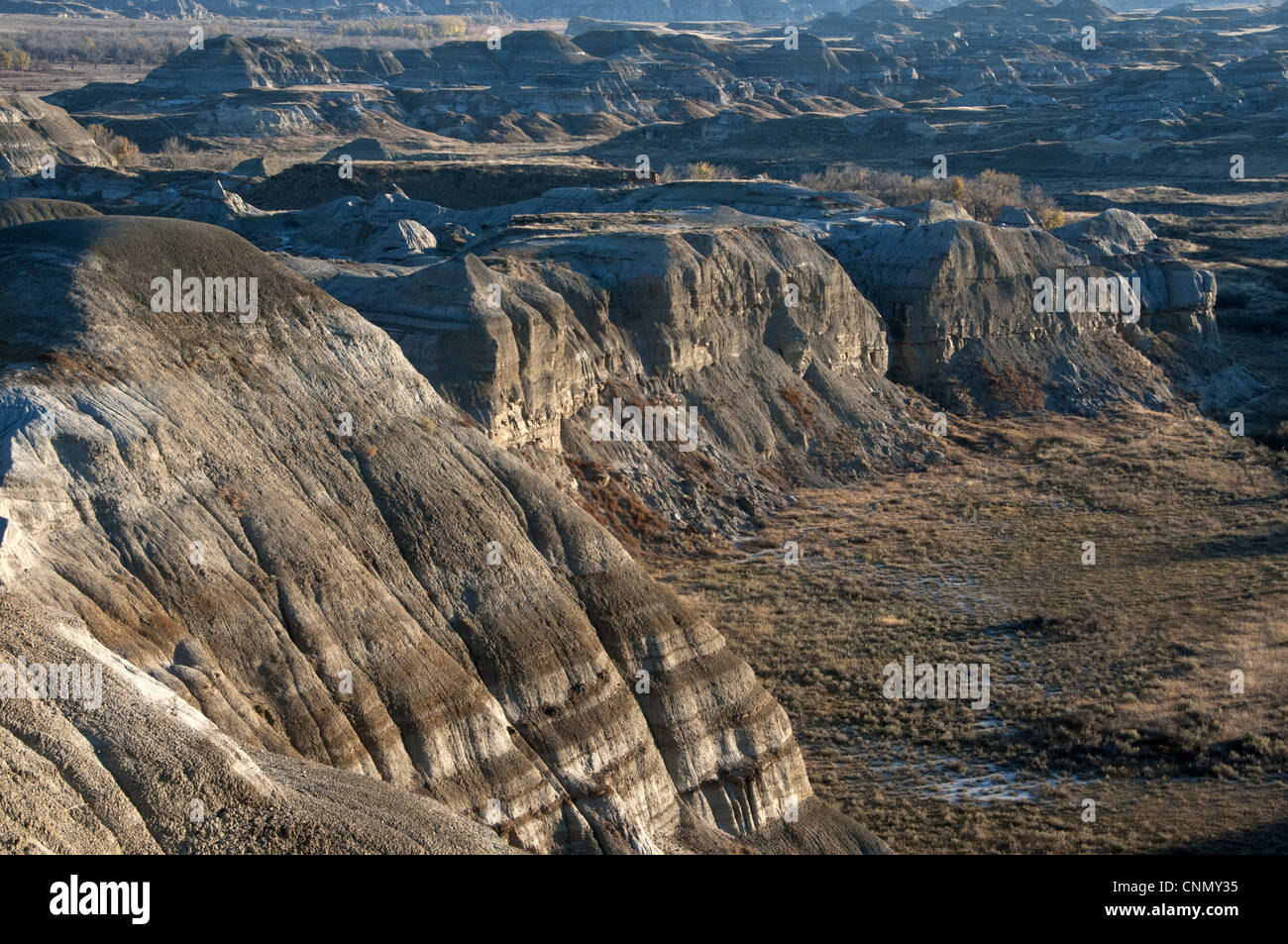 View of badlands habitat, Dinosaur Provincial Park, Alberta, Canada, october Stock Photo