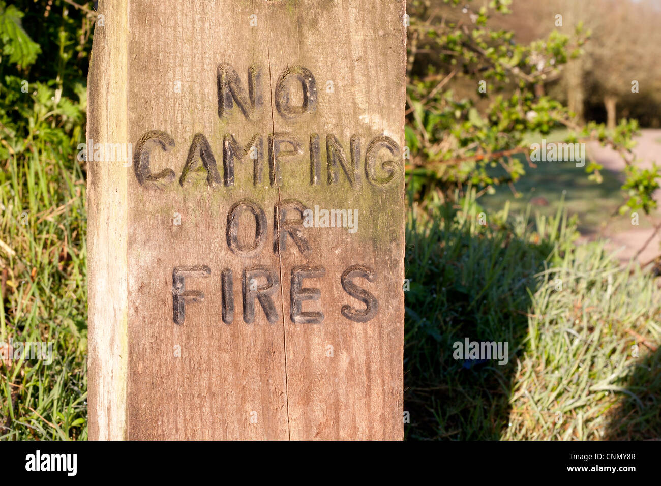 No wood fires hires stock photography and images Alamy