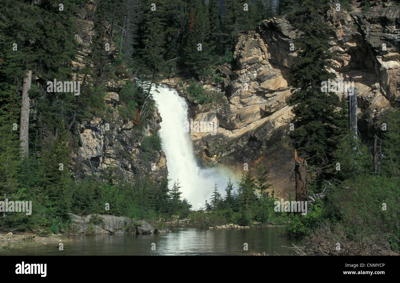 Montana Running Eagle Falls, Glacier Nat. Pk. Montana, USA. Stock Photo
