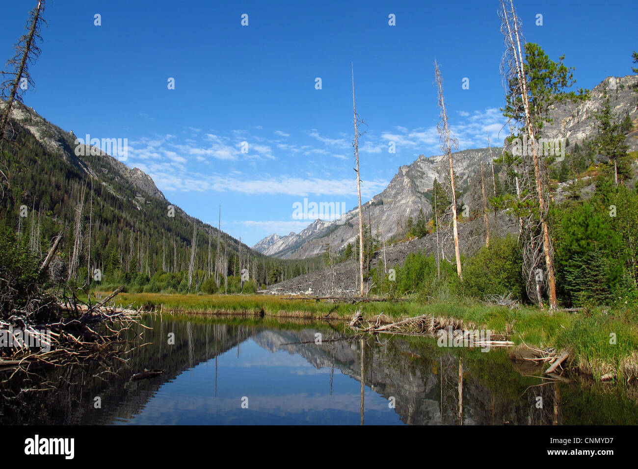 Blodgett hires stock photography and images Alamy