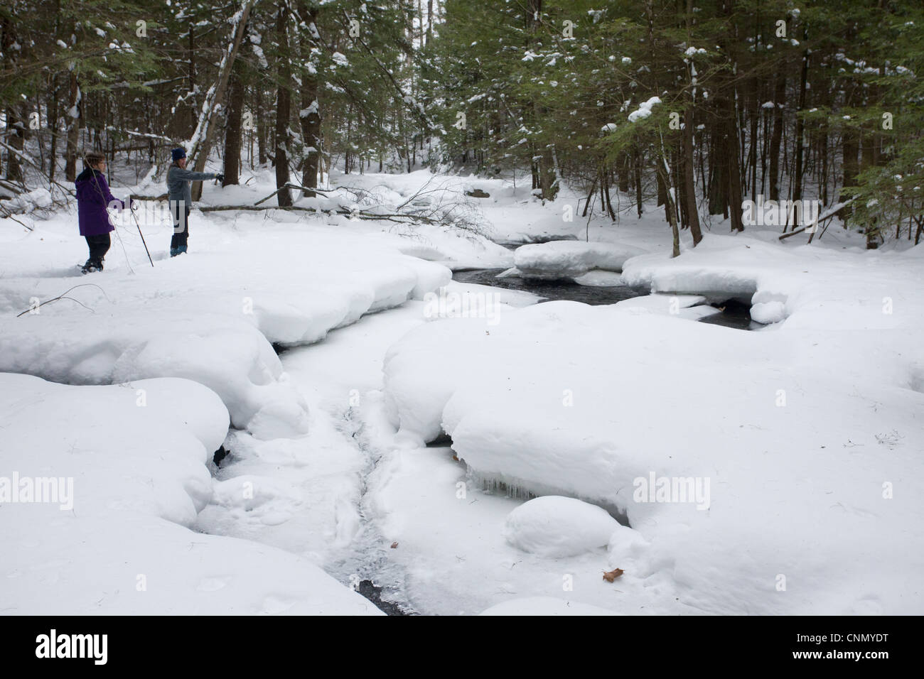 Stream woodland after heavy snow Robert Ingalls Preserve Rensselaer Land Trust Horsehaven Road Rensselaer County New York U.S.A Stock Photo