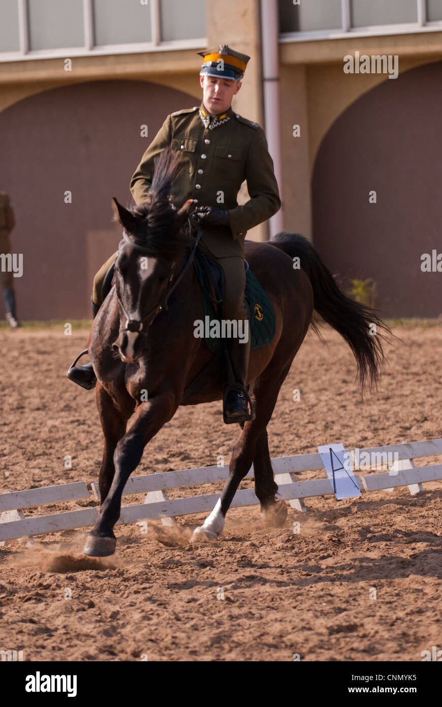 2012 World Cavalry Championships in Poznan, Poland Stock Photo