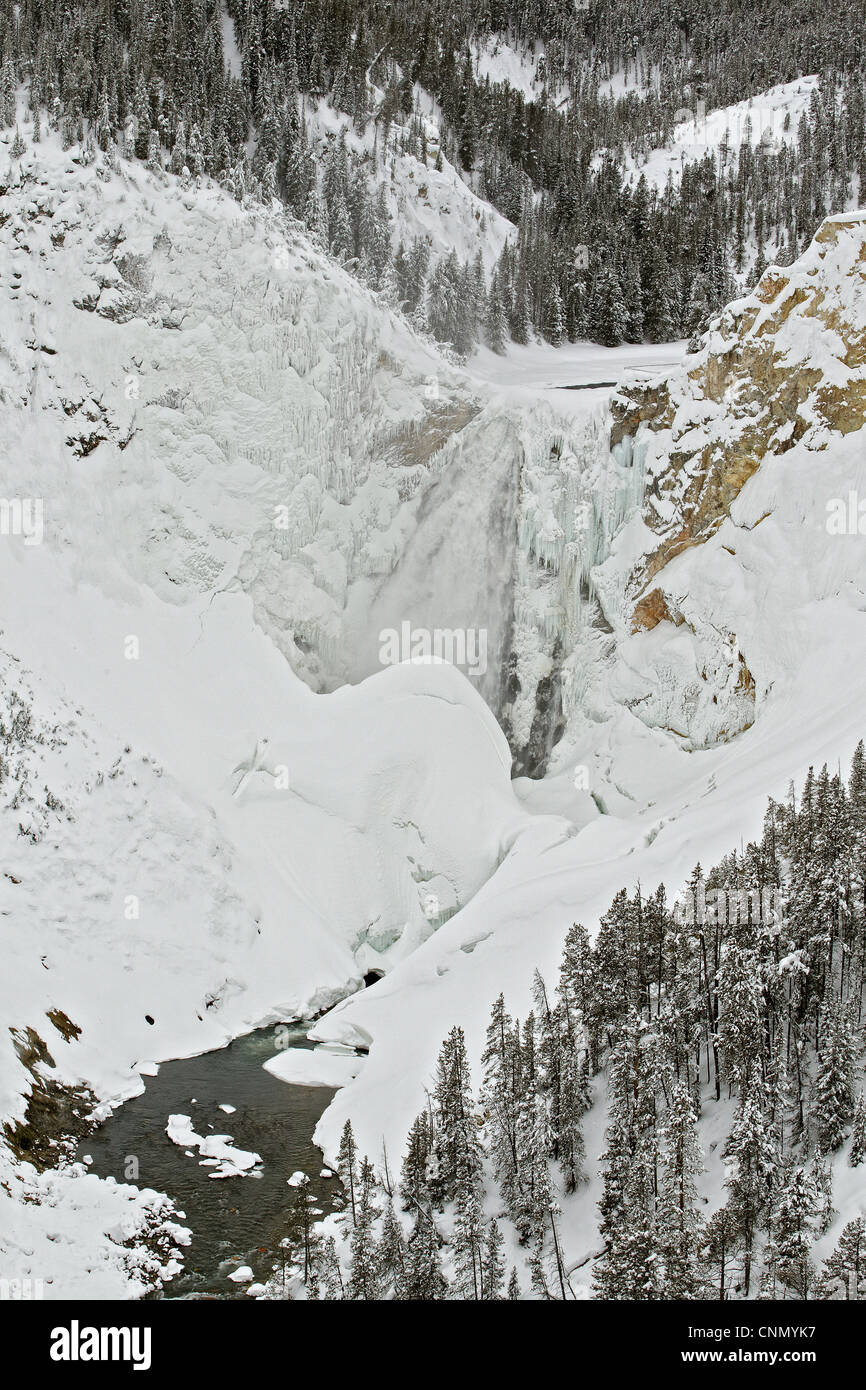 View of snow covered habitat with river and freezing waterfall, Yellowstone N.P., Wyoming, U.S.A., february Stock Photo