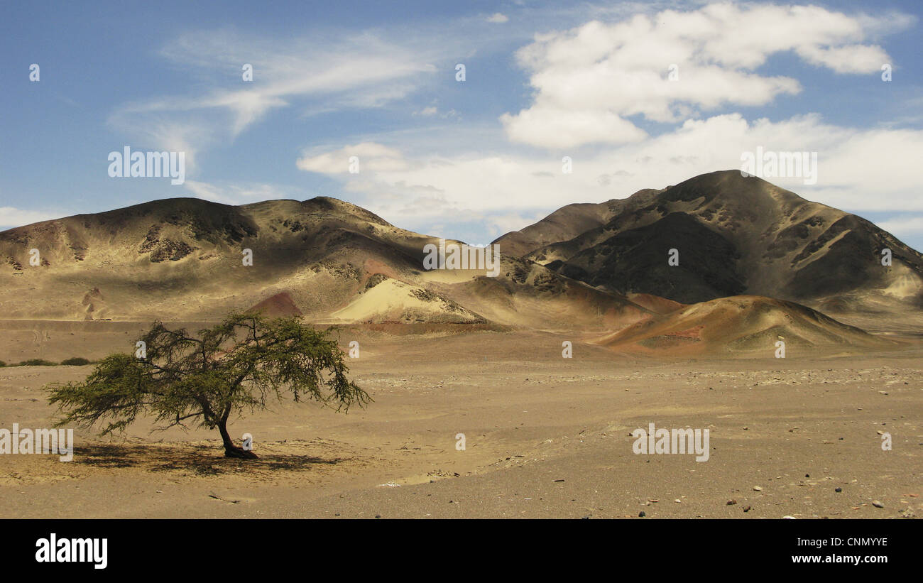 View of coastal desert habitat, Nazca Desert, Nazca, Peru Stock Photo