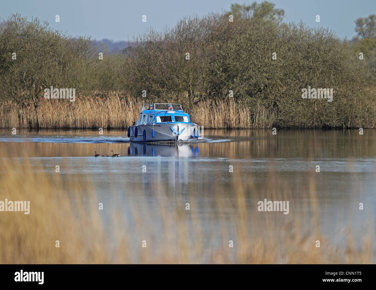 Pleasure boat on river, Norwich, River Yare, The Broads, Norfolk, England, april Stock Photo