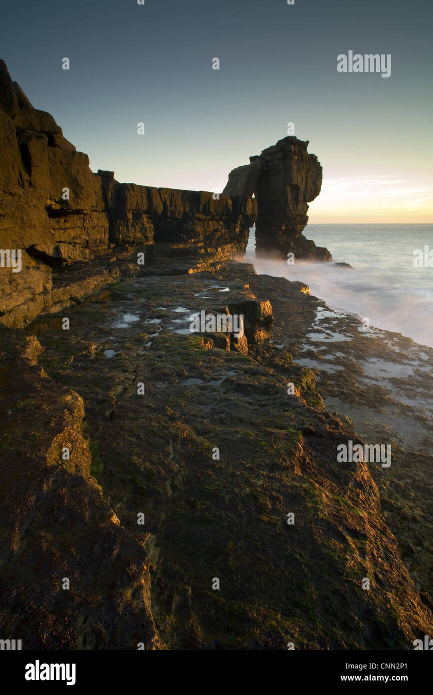 View sea stack sunset created by quarrymen 1870s after natural arch cut away Pulpit Rock Portland Bill Isle Portland Dorset Stock Photo