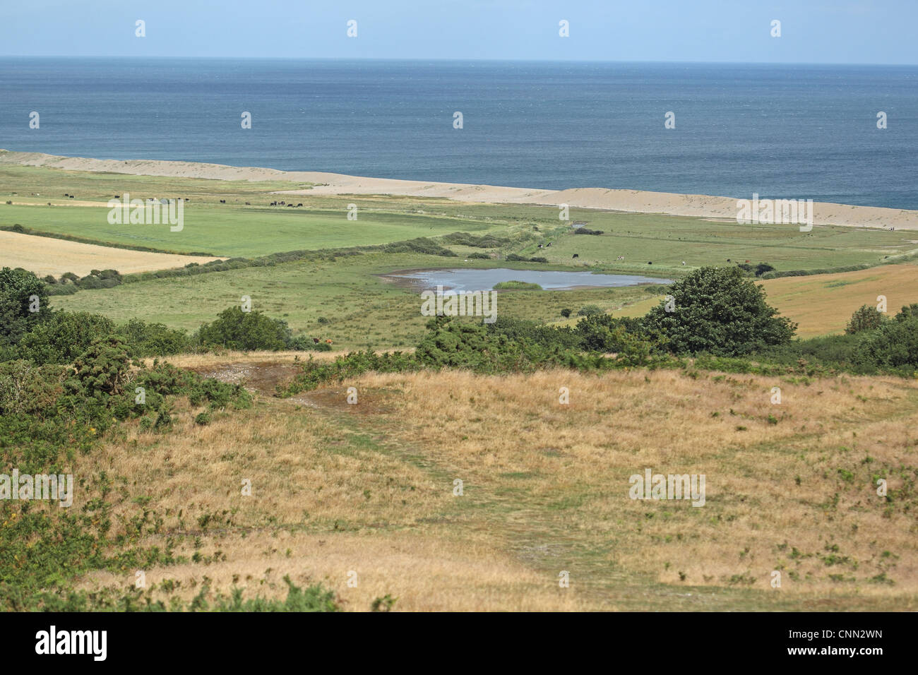 View of watermeadow habitat and coastline, Kelling, Norfolk, England, july Stock Photo