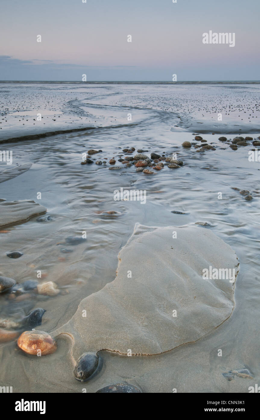 View of coastal mudflats with channels and pebbles at sunset, Dungeness, Kent, England, june Stock Photo