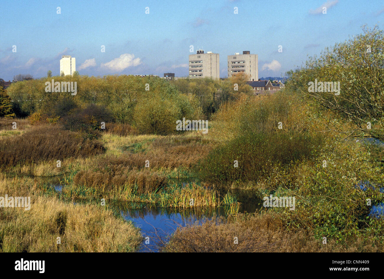 London The Brent Reservoir / London, Middlesex Stock Photo