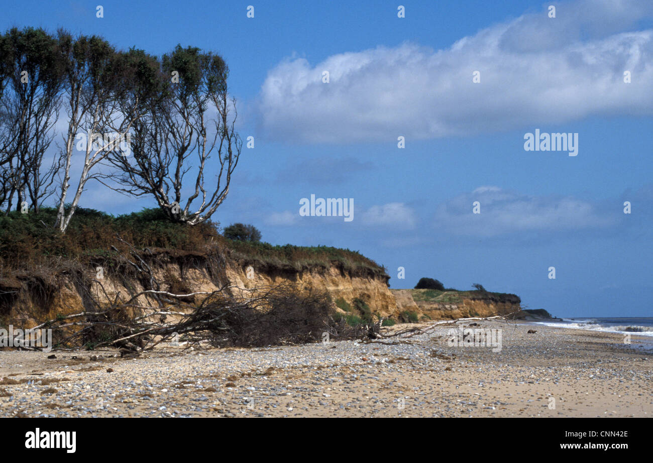 Suffolk Suffolk Coast Looking North Towards Kessingland Stock Photo Alamy suffolk-suffolk-coast-looking-north-towards-kessingland-stock-photo-alamy
