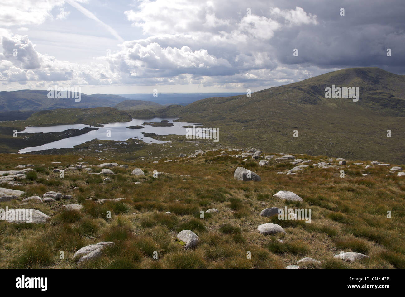 View of upland habitat, Merrick and Loch Enoch from Mullwharcher, Galloway Hills, Dumfries and Galloway, Scotland, august Stock Photo