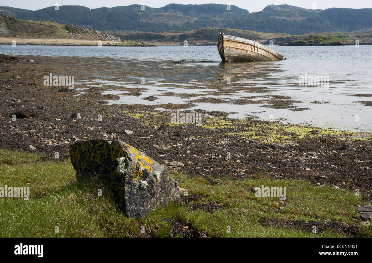 'Our Atalanta' boat wreck in sea loch, Craignish Loch, Ardfern, Argyll and Bute, Scotland, april Stock Photo