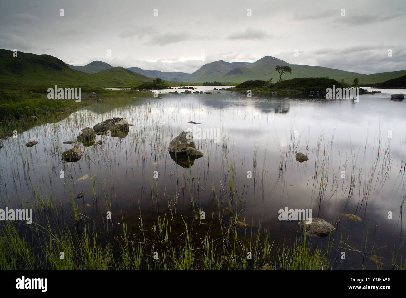 View of freshwater loch on upland plateau, Rannoch Moor, Highlands, Scotland, june Stock Photo